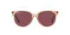 Ray-Ban RB4378 Transparent Brown/Purple Polarised #colour_transparent-brown-purple-polarised