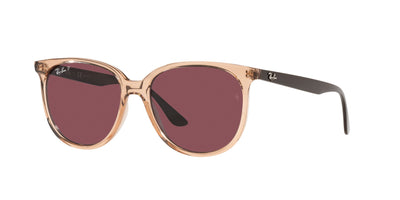 Ray-Ban RB4378 Transparent Brown/Purple Polarised #colour_transparent-brown-purple-polarised