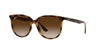 Ray-Ban RB4378 Havana/Gradient Brown #colour_havana-gradient-brown