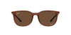 Ray-Ban RB4386 Transparent Brown/Polarised Brown #colour_transparent-brown-polarised-brown