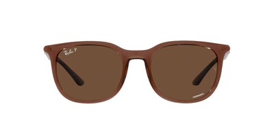 Ray-Ban RB4386 Transparent Brown/Polarised Brown #colour_transparent-brown-polarised-brown