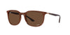 Ray-Ban RB4386 Transparent Brown/Polarised Brown #colour_transparent-brown-polarised-brown