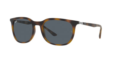 Ray-Ban RB4386 Havana/Blue #colour_havana-blue