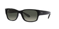 Ray-Ban RB4388