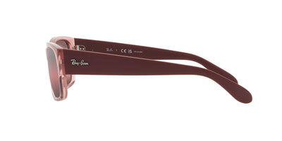 Ray-Ban RB4388 Transparent Pink/Polarised Wine #colour_transparent-pink-polarised-wine