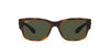 Ray-Ban RB4388 Havana/Green #colour_havana-green