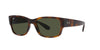 Ray-Ban RB4388 Havana/Green #colour_havana-green