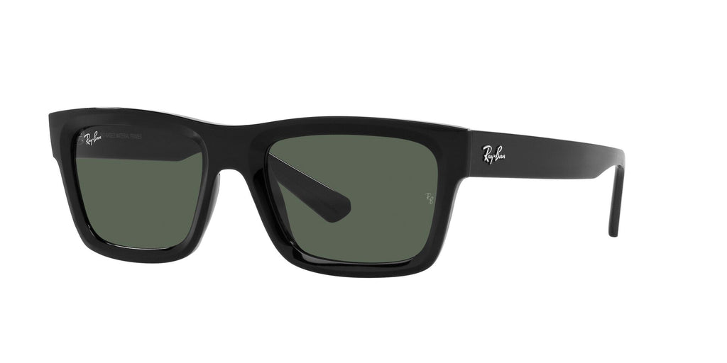 Ray-Ban Warren RB4396 Black/Dark Green #colour_black-dark-green