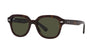 Ray-Ban Erik RB4398 Havana/Green #colour_havana-green