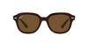 Ray-Ban Erik RB4398 Havana/Brown Polarised #colour_havana-brown-polarised