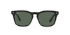 Ray-Ban Steve RB4487 Black/Dark Green #colour_black-dark-green