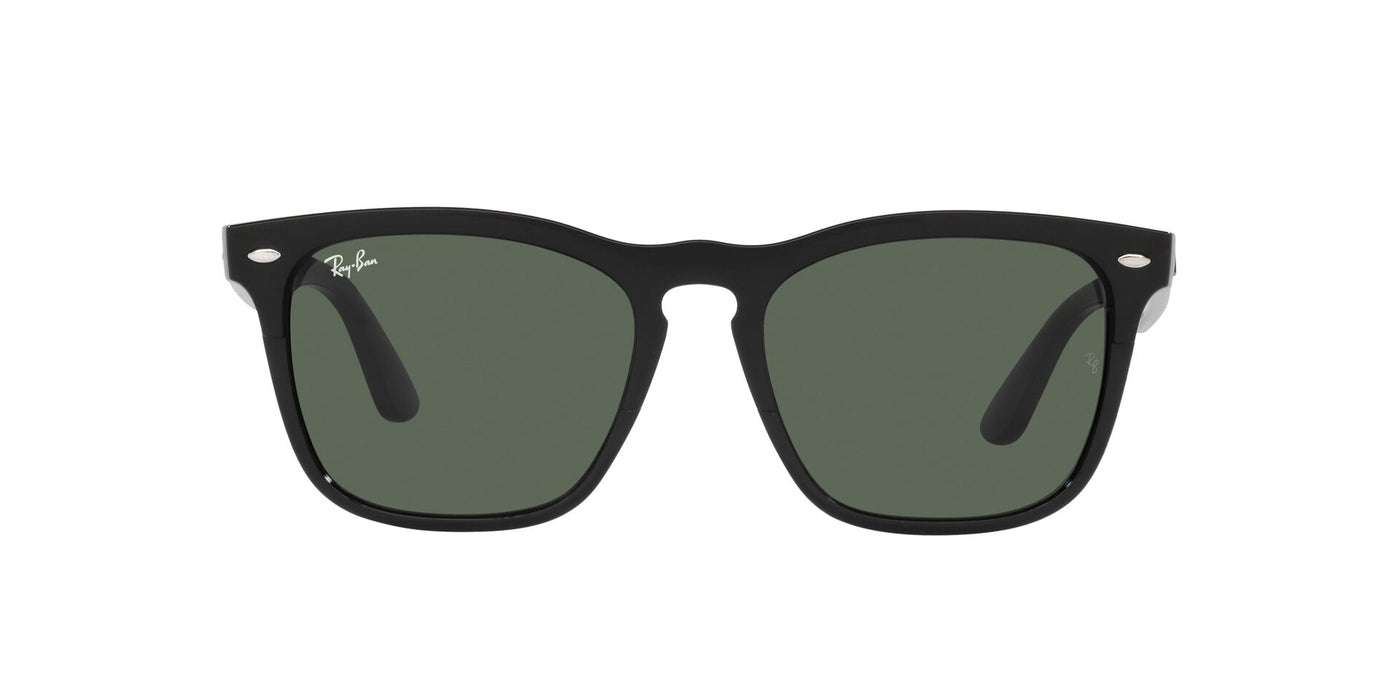 Ray-Ban Steve RB4487 Black/Dark Green #colour_black-dark-green