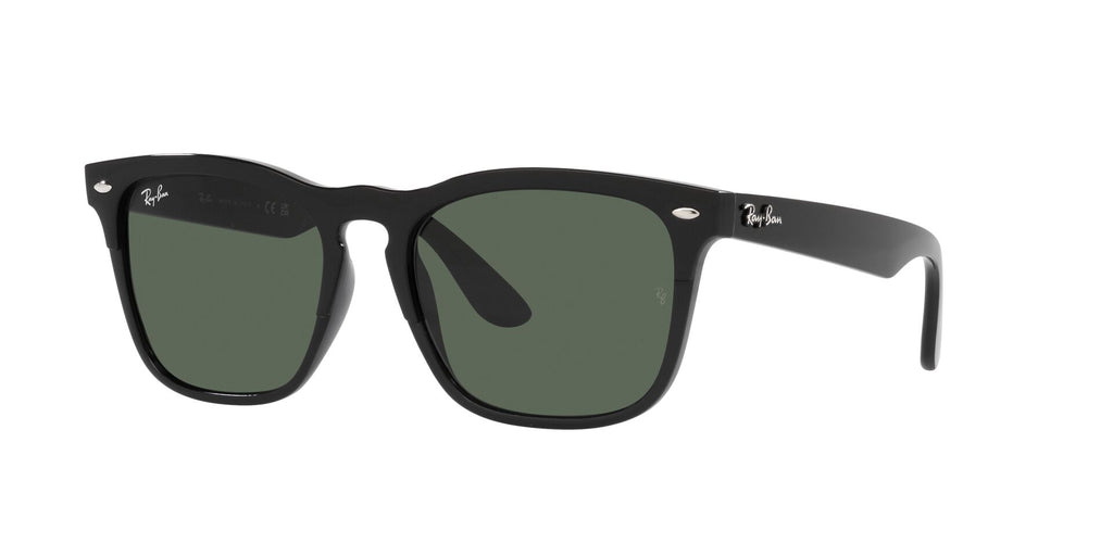 Ray-Ban Steve RB4487 Black/Dark Green #colour_black-dark-green