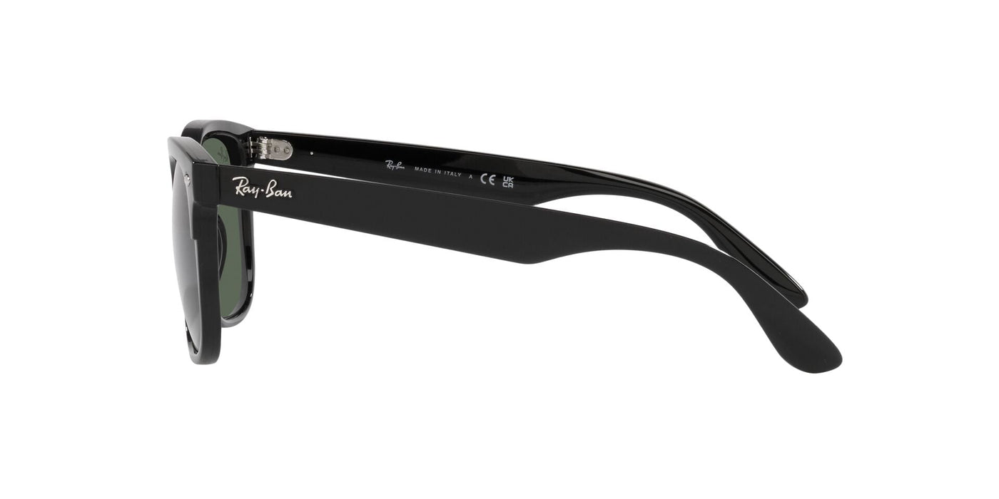 Ray-Ban Steve RB4487 Black/Dark Green #colour_black-dark-green