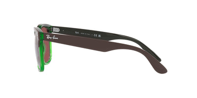 Ray-Ban Steve RB4487 Dark Brown On Transparent Green/Dark Violet #colour_dark-brown-on-transparent-green-dark-violet