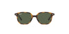 Ray-Ban Junior RB9093S Havana/Dark Green #colour_havana-dark-green