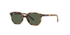 Ray-Ban Junior RB9093S Havana/Dark Green #colour_havana-dark-green