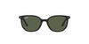 Ray-Ban Junior Elliot RJ9097S Black/Dark Green #colour_black-dark-green