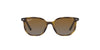 Ray-Ban Junior Elliot RJ9097S Havana/Grey Brown Gradient Polarised #colour_havana-grey-brown-gradient-polarised