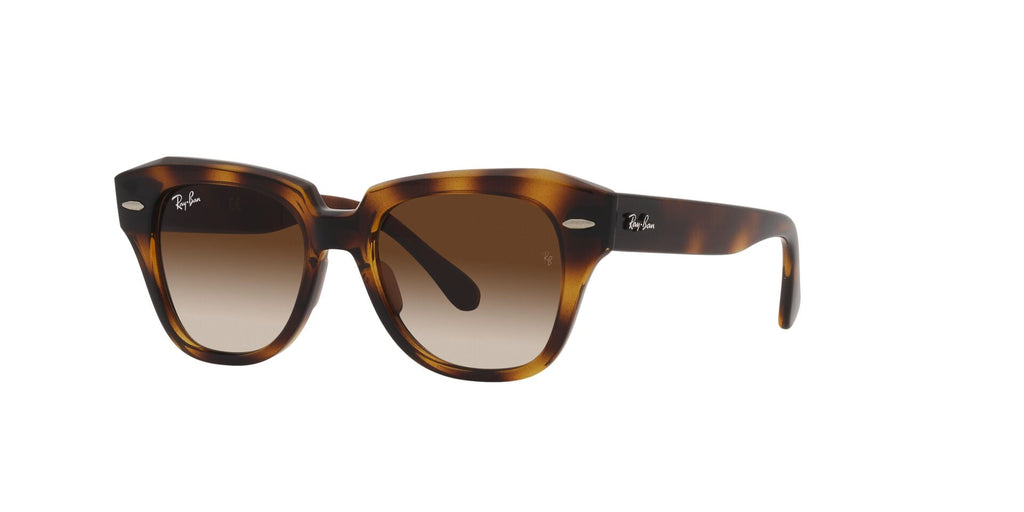 Ray-Ban Junior RB9186S Havana/Dark Brown Gradient #colour_havana-dark-brown-gradient