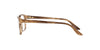 Ralph Lauren RL6062 Shiny Striped Brown #colour_shiny-striped-brown