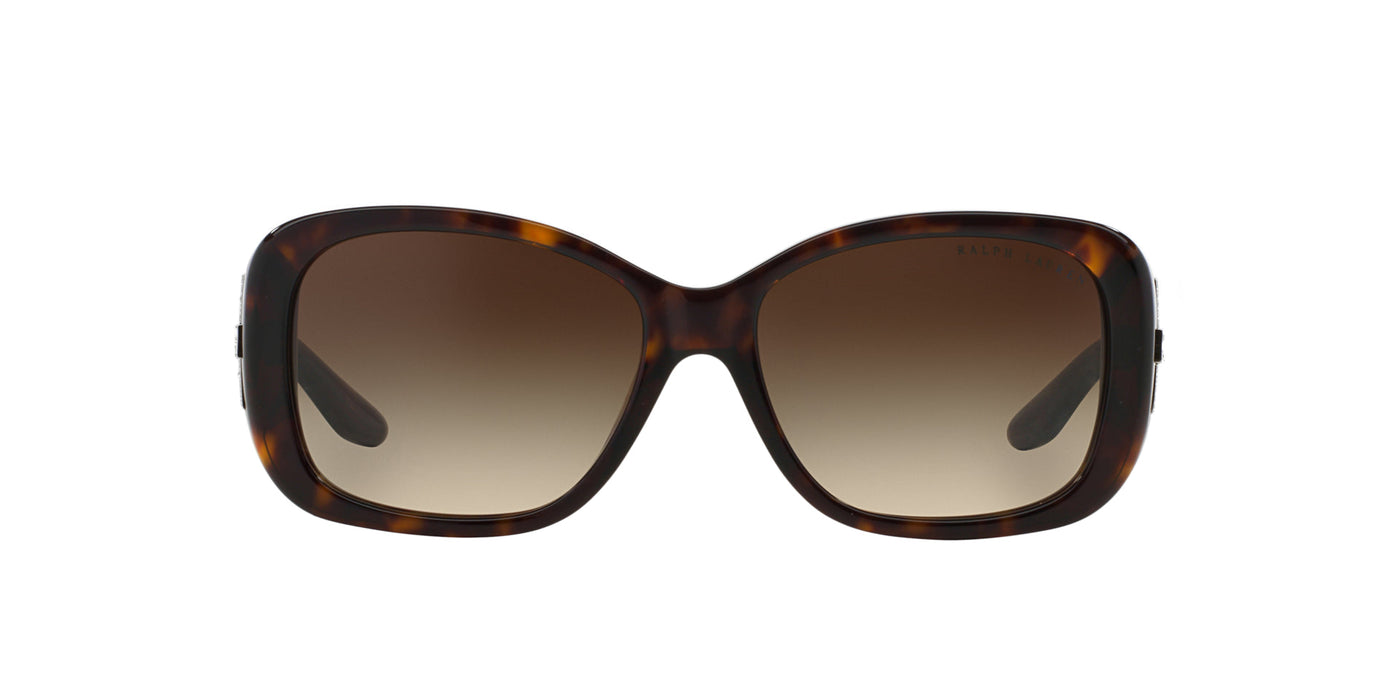 Ralph Lauren RL8127B Shiny Dark Havana/Gradient Brown #colour_shiny-dark-havana-gradient-brown