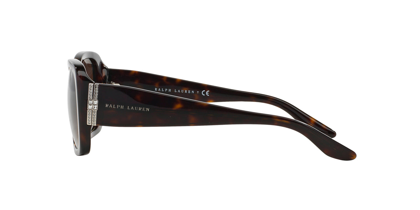 Ralph Lauren RL8127B Shiny Dark Havana/Gradient Brown #colour_shiny-dark-havana-gradient-brown