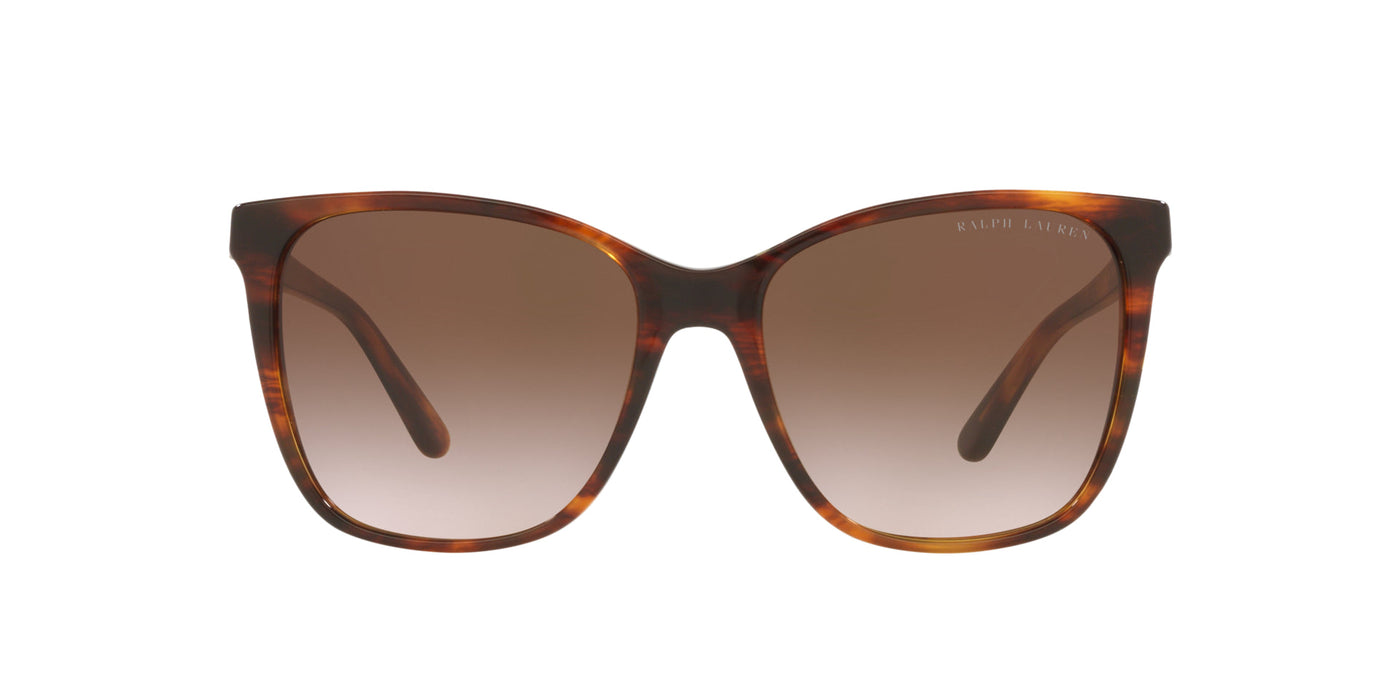 Ralph Lauren RL8201 Shiny Striped Havana/Gradient Brown #colour_shiny-striped-havana-gradient-brown