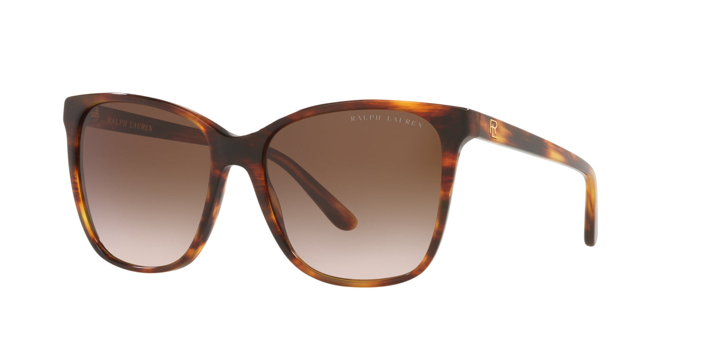 Ralph Lauren RL8201 Shiny Striped Havana/Gradient Brown #colour_shiny-striped-havana-gradient-brown