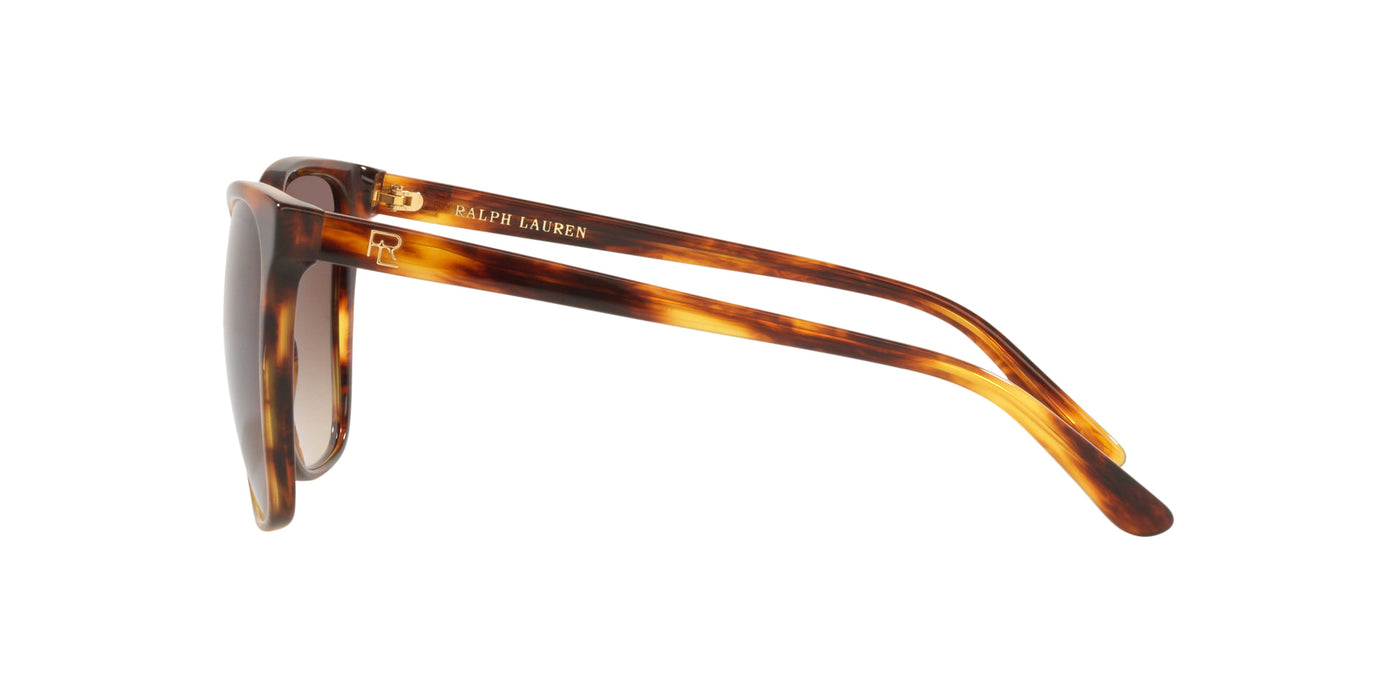 Ralph Lauren RL8201 Shiny Striped Havana/Gradient Brown #colour_shiny-striped-havana-gradient-brown