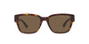 Ralph Lauren RL8205 Shiny Dark Havana/Dark Brown #colour_shiny-dark-havana-dark-brown