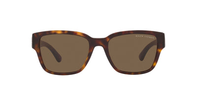 Ralph Lauren RL8205 Shiny Dark Havana/Dark Brown #colour_shiny-dark-havana-dark-brown