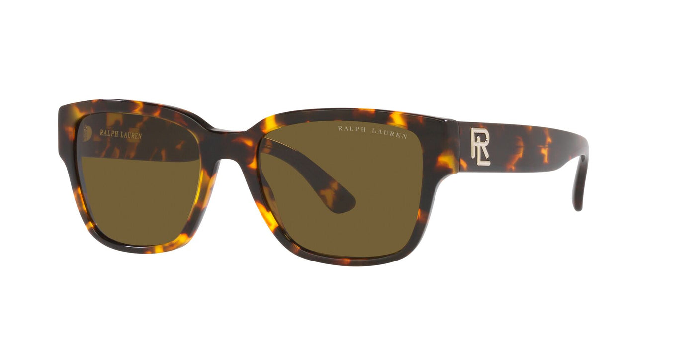 Ralph Lauren RL8205 Shiny Antique Havana/Dark Brown #colour_shiny-antique-havana-dark-brown