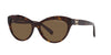 Ralph Lauren The Betty RL8213 Havana/Brown #colour_havana-brown