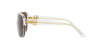 Ralph Lauren The Dillion RL8214 Crystal/Brown #colour_crystal-brown