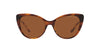 Ralph Lauren RL8215BU Stripped Havana/Brown Gradient #colour_stripped-havana-brown-gradient