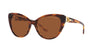 Ralph Lauren RL8215BU Stripped Havana/Brown Gradient #colour_stripped-havana-brown-gradient