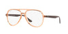 Ray-Ban RB4376V Transparent Brown #colour_transparent-brown