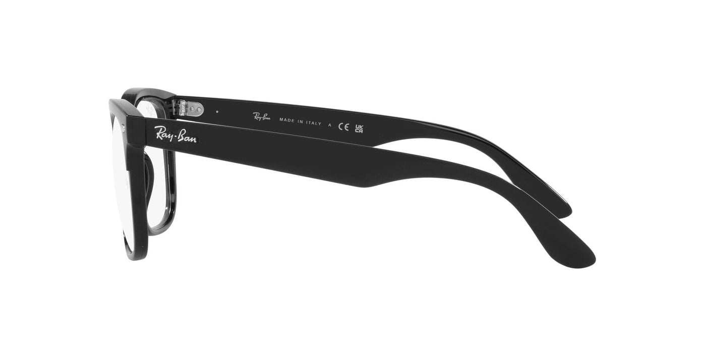 Ray-Ban Steve RB4487V Black #colour_black