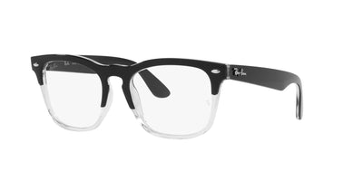 Ray-Ban Steve RB4487V Black On Transparent #colour_black-on-transparent