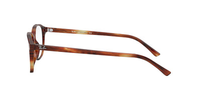 Ray-Ban Leonard RB5393 Striped Havana #colour_striped-havana