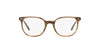 Ray-Ban Elliot RB5397 Striped Brown Green #colour_striped-brown-green