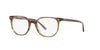 Ray-Ban Elliot RB5397 Striped Brown Green #colour_striped-brown-green