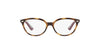 Ray-Ban Junior RB1612 Dark Tortoise #colour_dark-tortoise