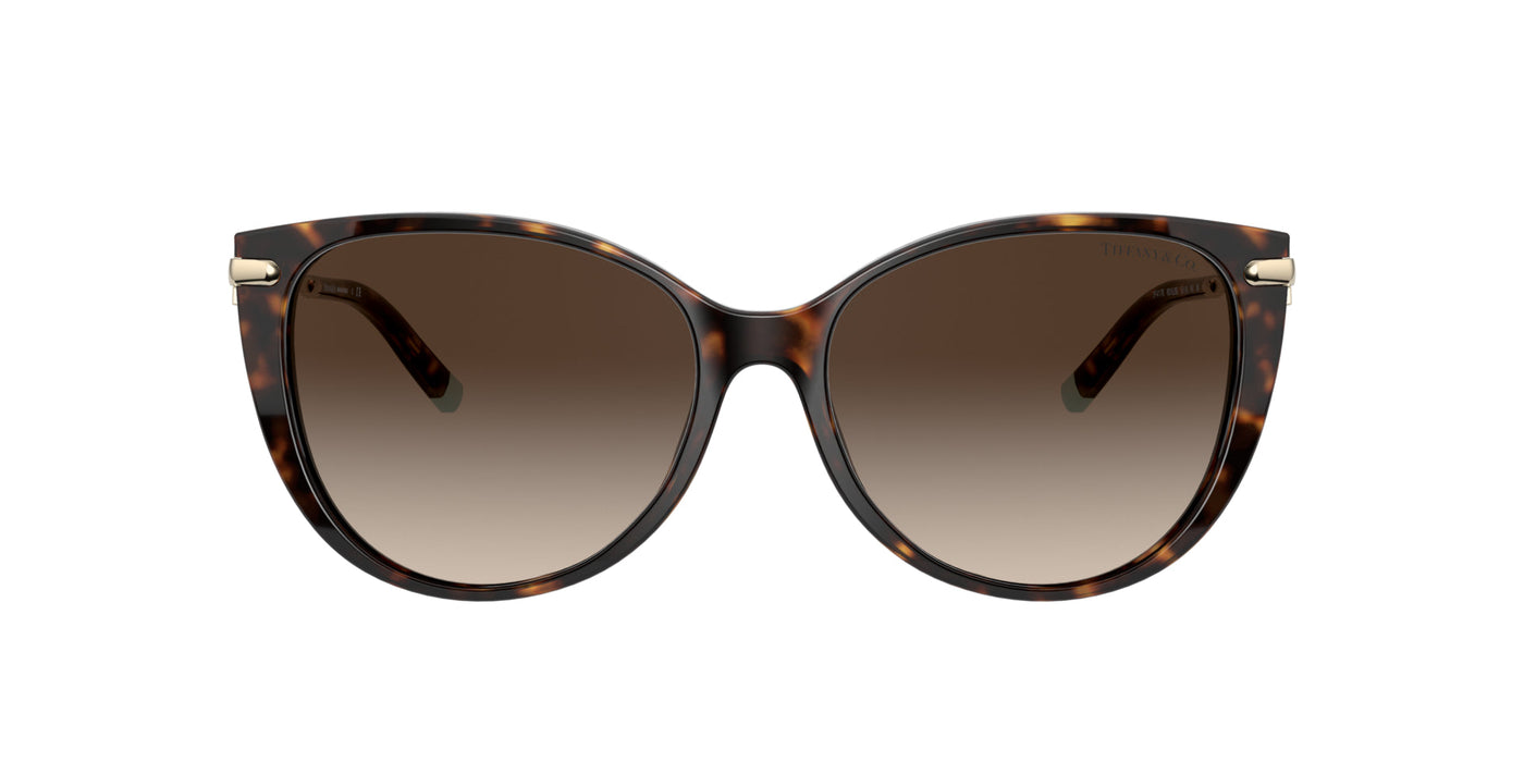 Tiffany TF4178 Havana/Brown Gradient #colour_havana-brown-gradient