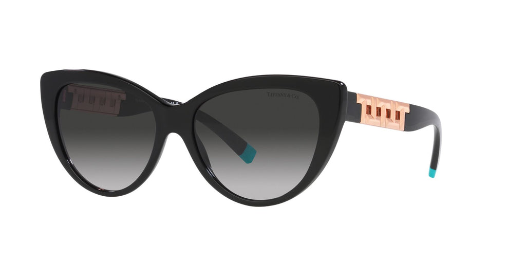 New Authentic Tiffany & Co. TF4196 Tiffany & Co. TF4196 M (56 - 16) with Brown lenses and Beige  main image 4