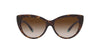 Tiffany TF4196 Havana/Brown Gradient #colour_havana-brown-gradient