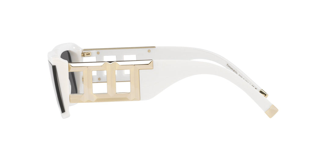 Tiffany TF4197 Rectangle Sunglasses | Fashion Eyewear