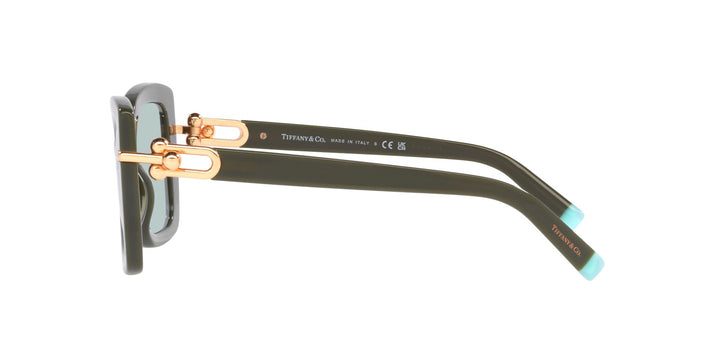 Tiffany TF4199 Butterfly Sunglasses | Fashion Eyewear US