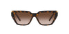 Tiffany TF4205U Havana/Brown Gradient #colour_havana-brown-gradient